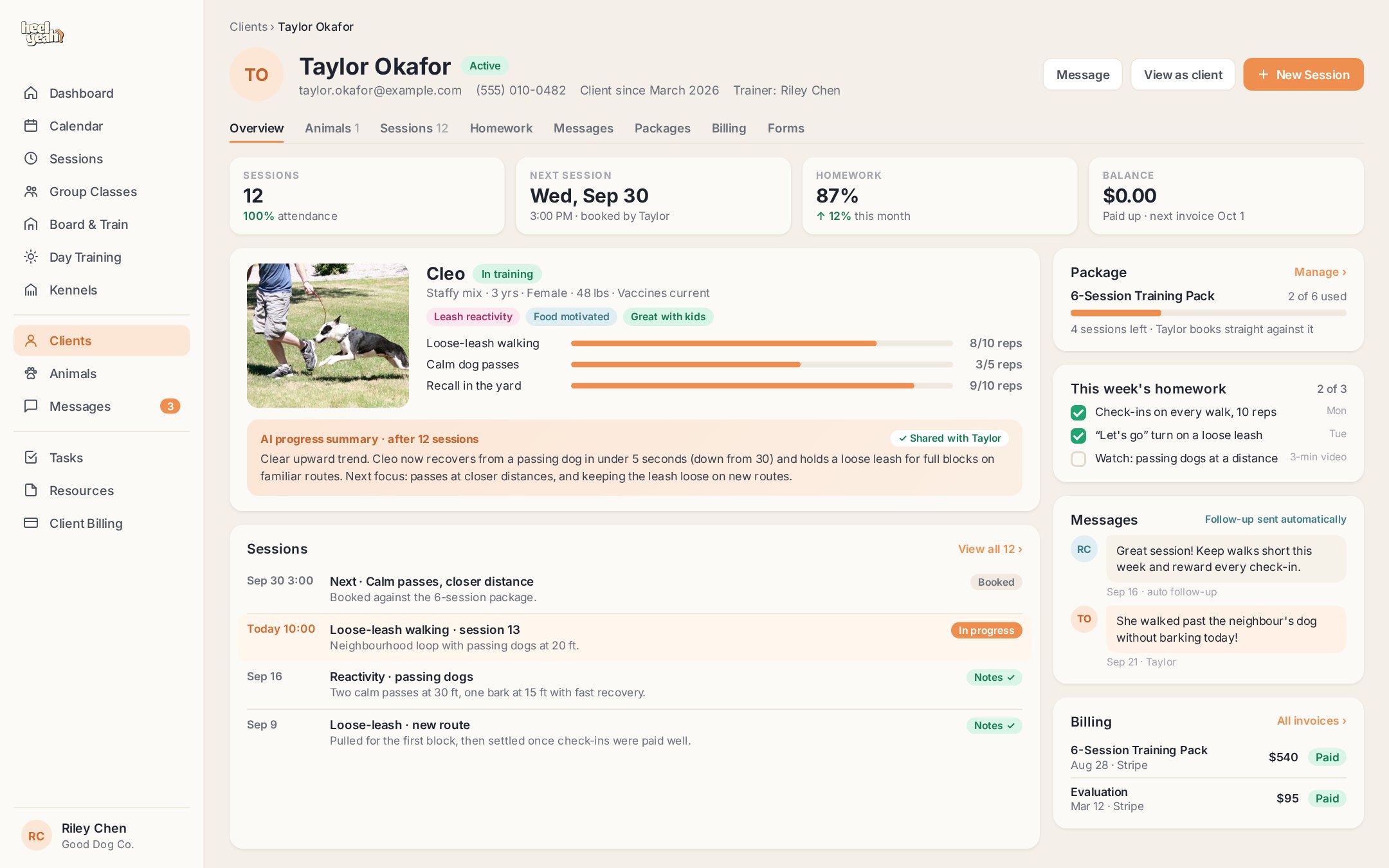 A client profile: the dog's training goals and AI progress summary, sessions, package, homework, messages and invoices on one page