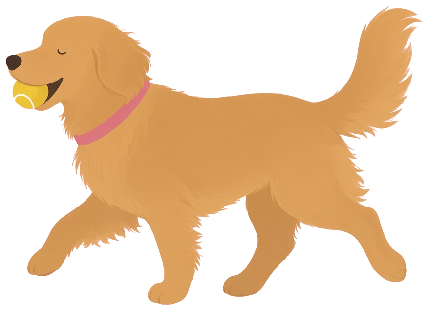 Illustration of a golden retriever carrying a tennis ball