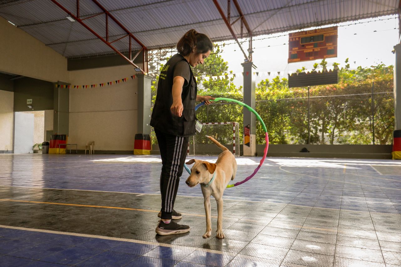A dog trainer checking a client's remaining prepaid sessions on a phone between appointments