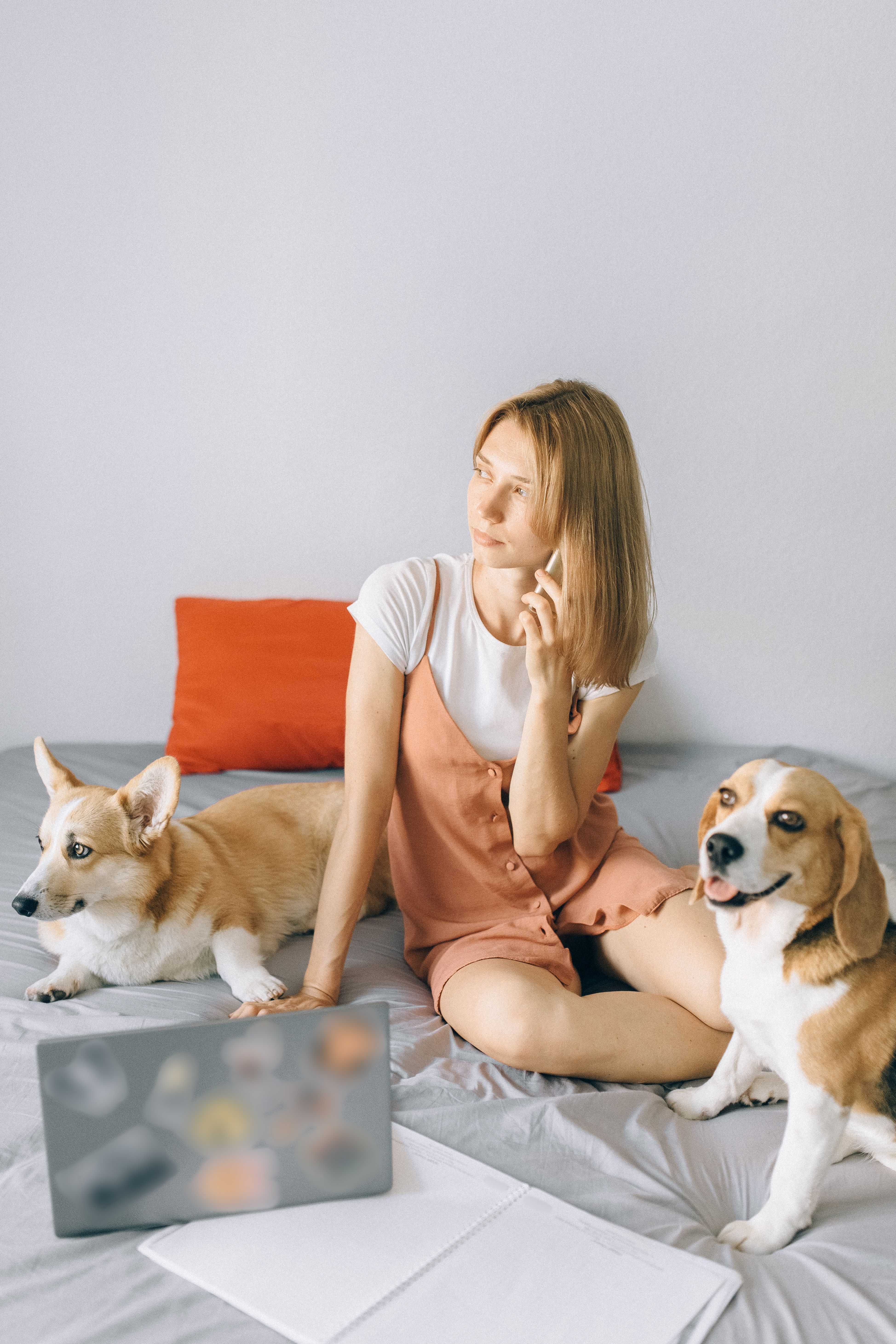 Dog trainer reviewing client notes on a laptop